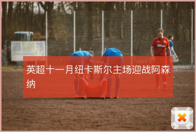 英超十一月纽卡斯尔主场迎战阿森纳