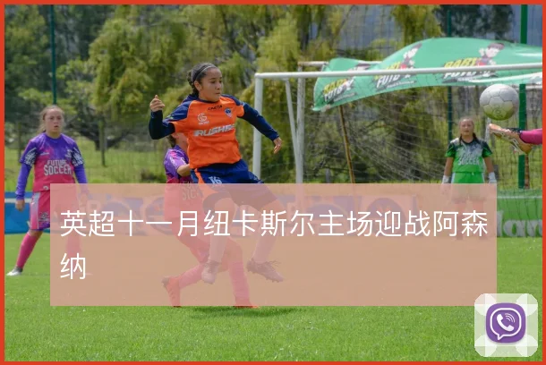 英超十一月纽卡斯尔主场迎战阿森纳
