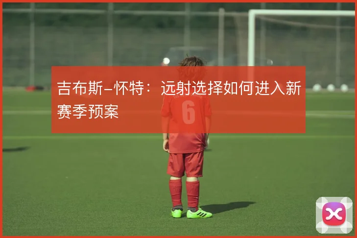 吉布斯-怀特:远射选择如何进入新赛季预案